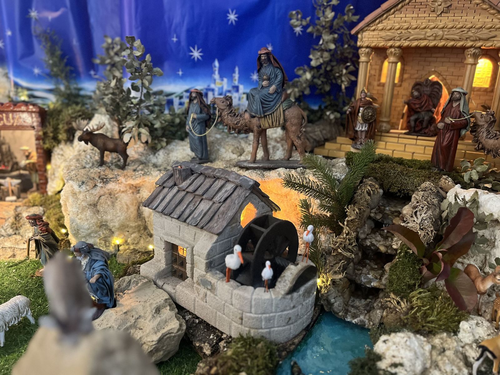 J.A.H.D. - Belén situado en una vivienda de la calle Las Lilas en Salamanca (5).jpeg