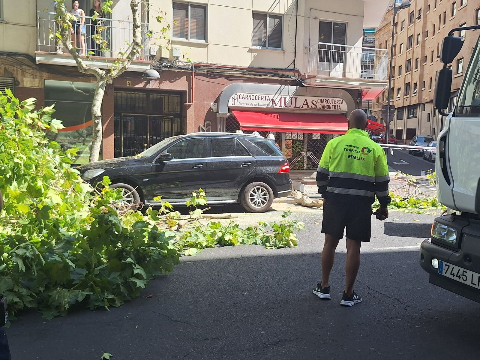 Un árbol cae sobre varios coches en Torres Villarroel
