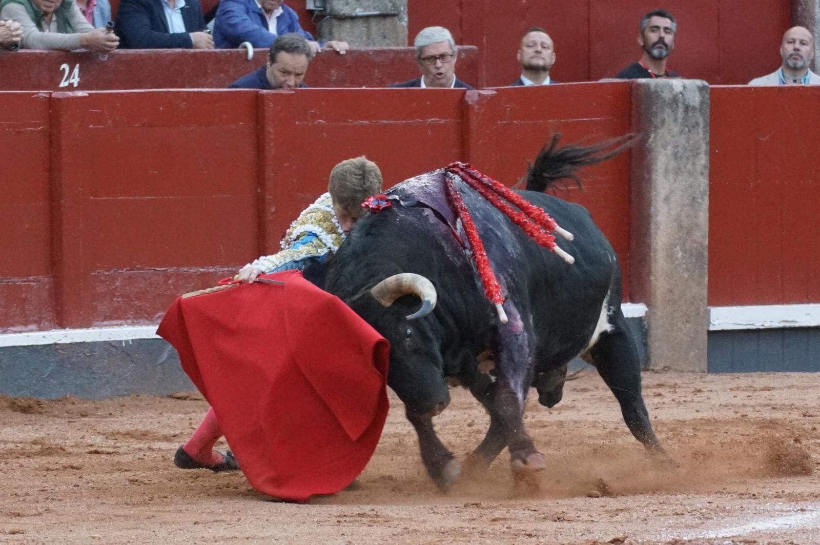 corrida-concurso-momentos-mas-destacados-del-ultimo-festejo-de-abono-de-la-feria-taurina-virgen-de-la-vega-2024-fotos-carlos-h-g-y-juanes-17