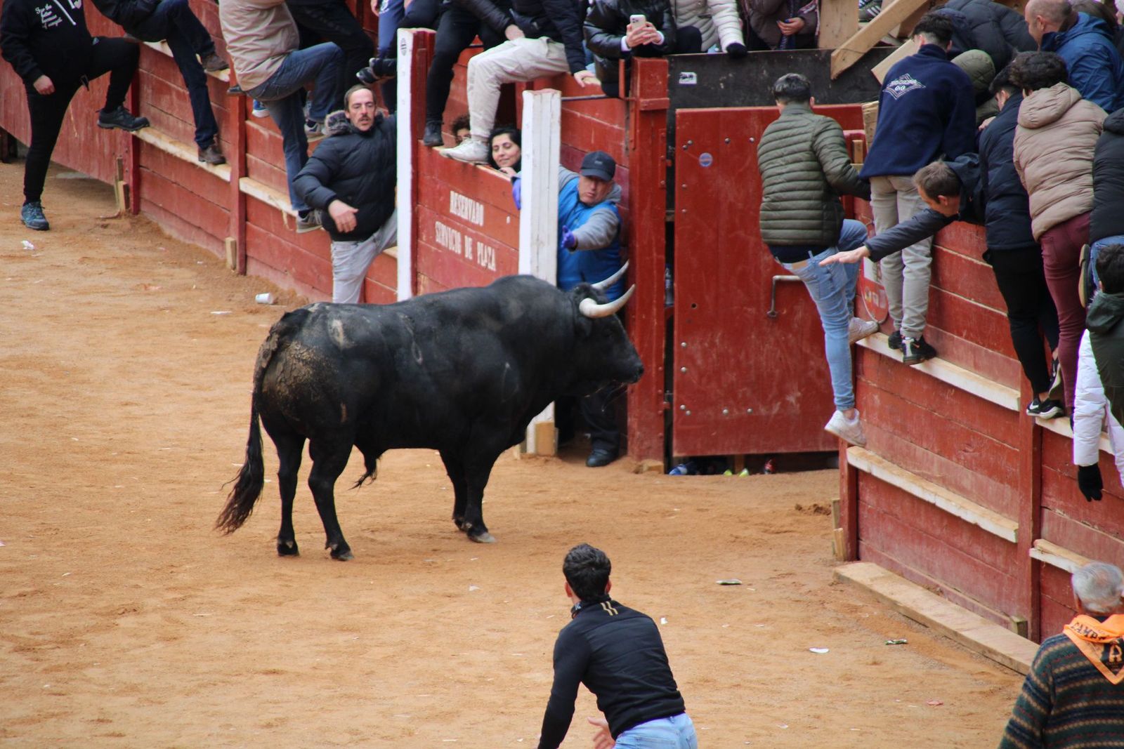 whatsapp-image-2025-03-01-at-13-18-38