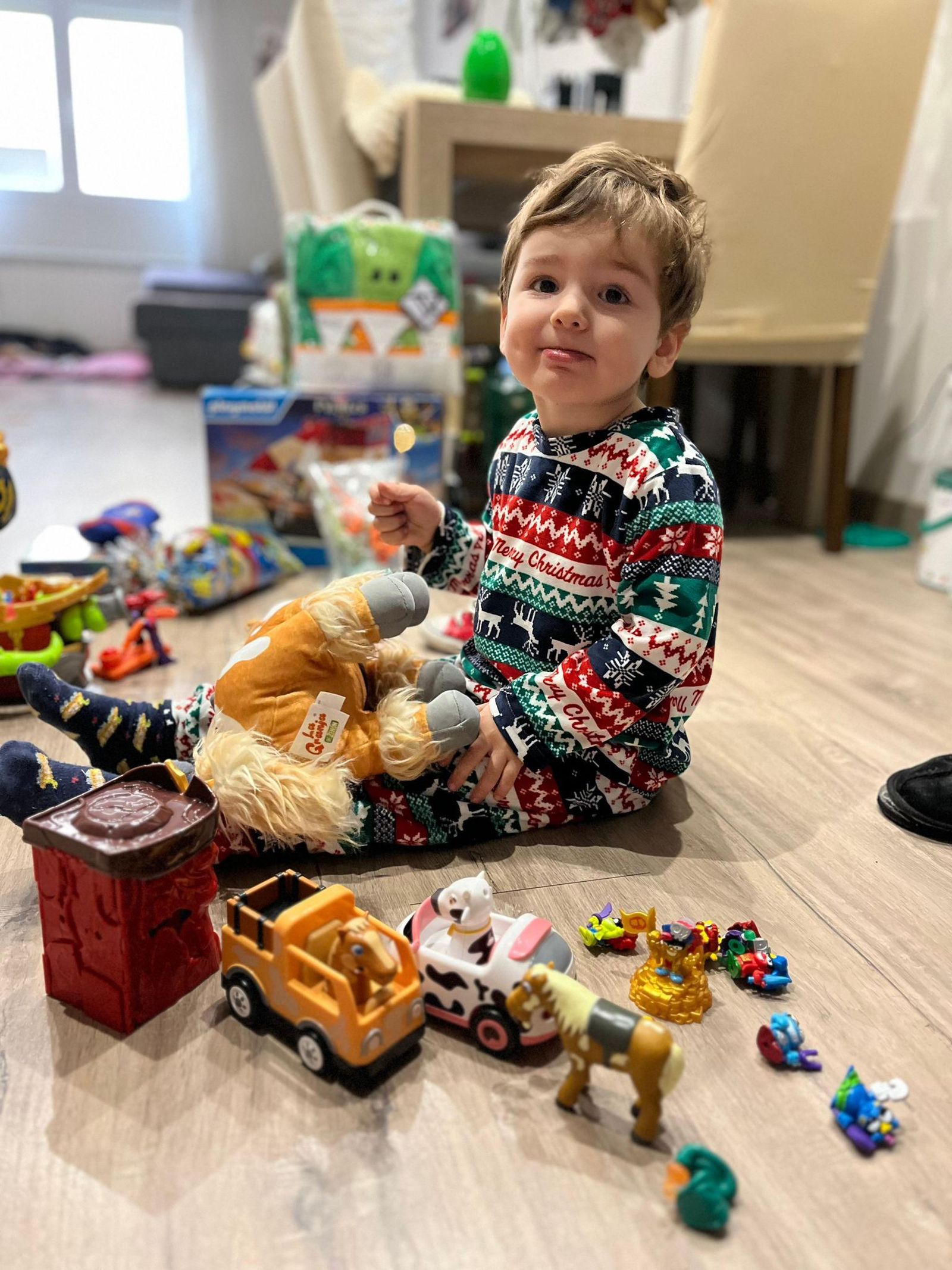 whatsapp-image-2025-01-06-at-13-39-15-1