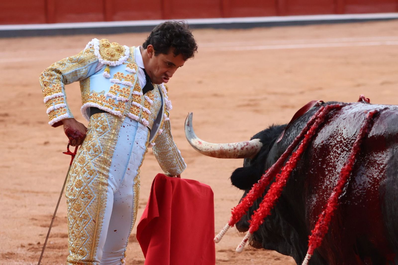 20230910190203-img-2233