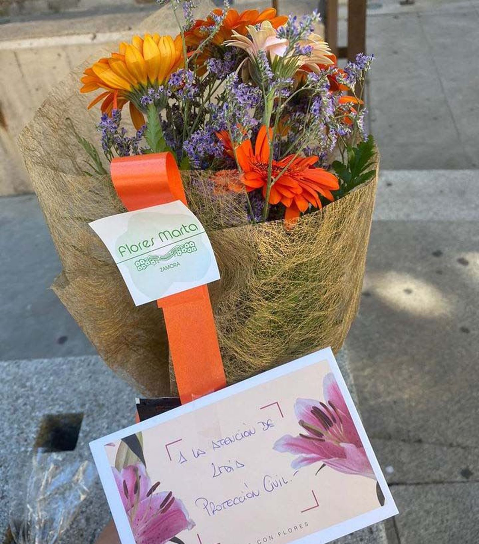 Protecciu00f3n Civil 2