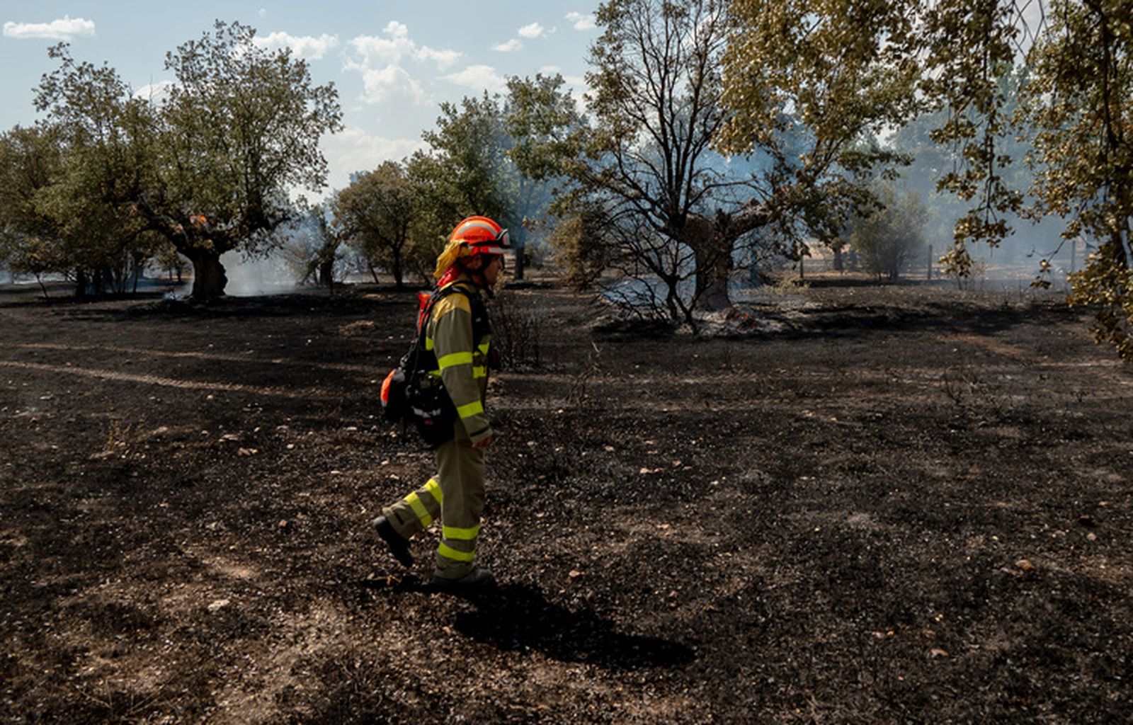 El fuego quema una zona de pasto en los entornos de la N-620 y la A-62 en Valdecarpinteros