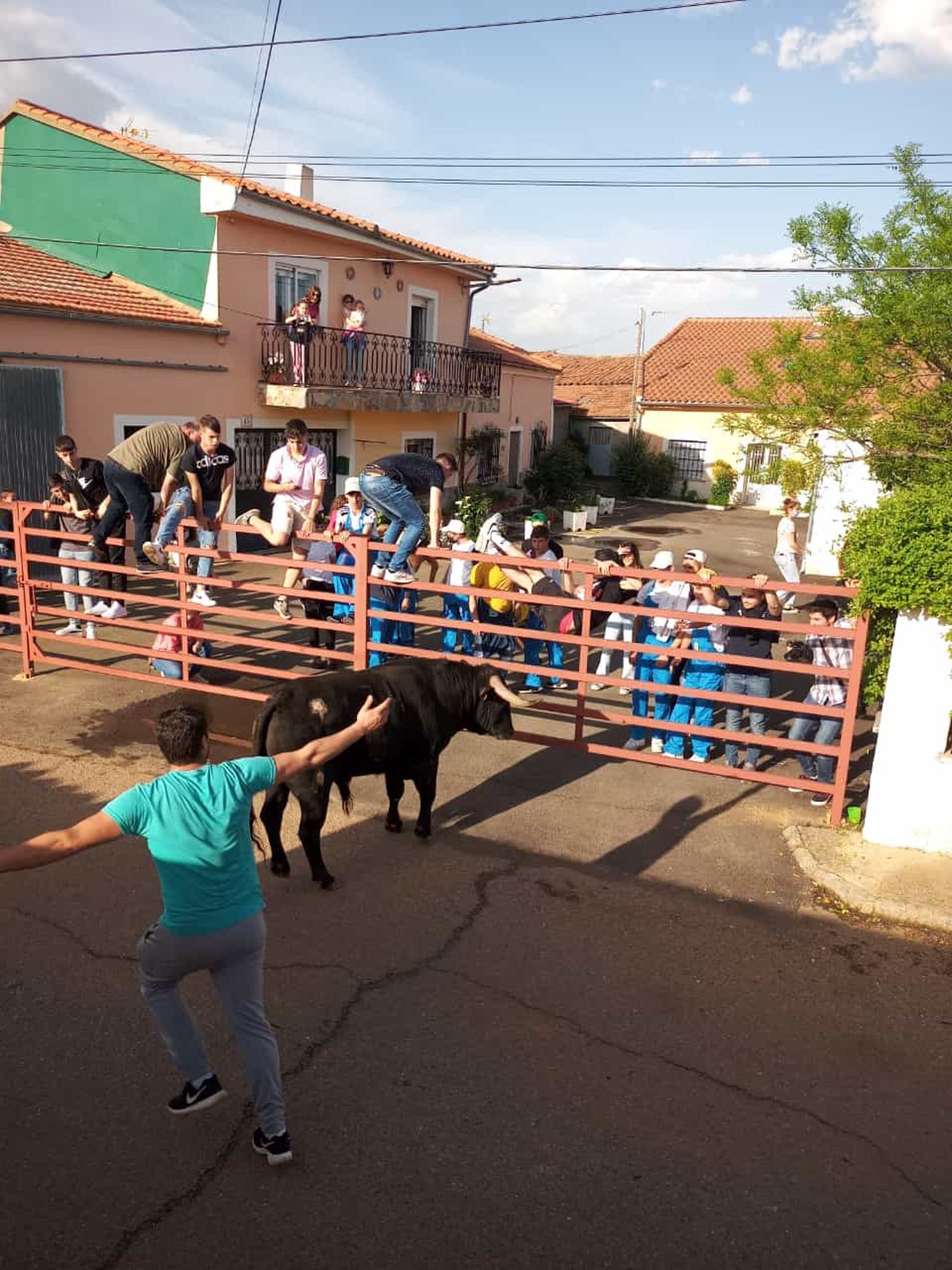 whatsapp-image-2022-05-14-at-9-12-29-pm