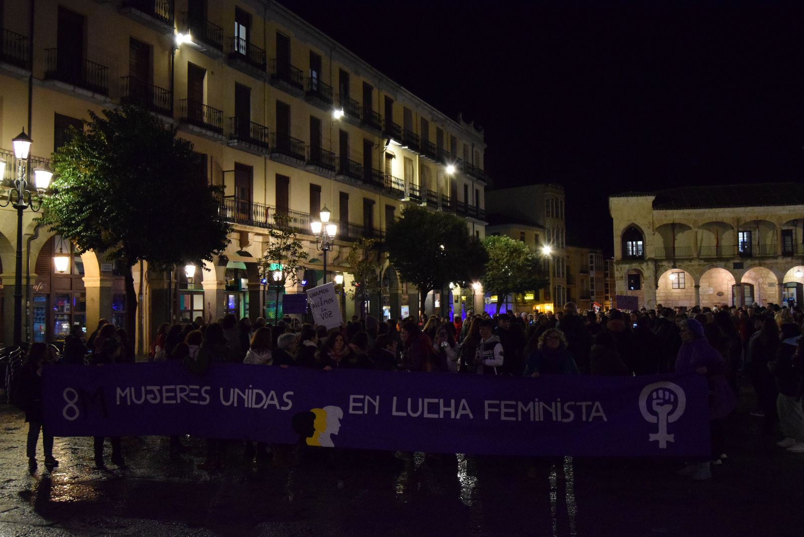 manifestacion-por-el-8m-en-zamora-30