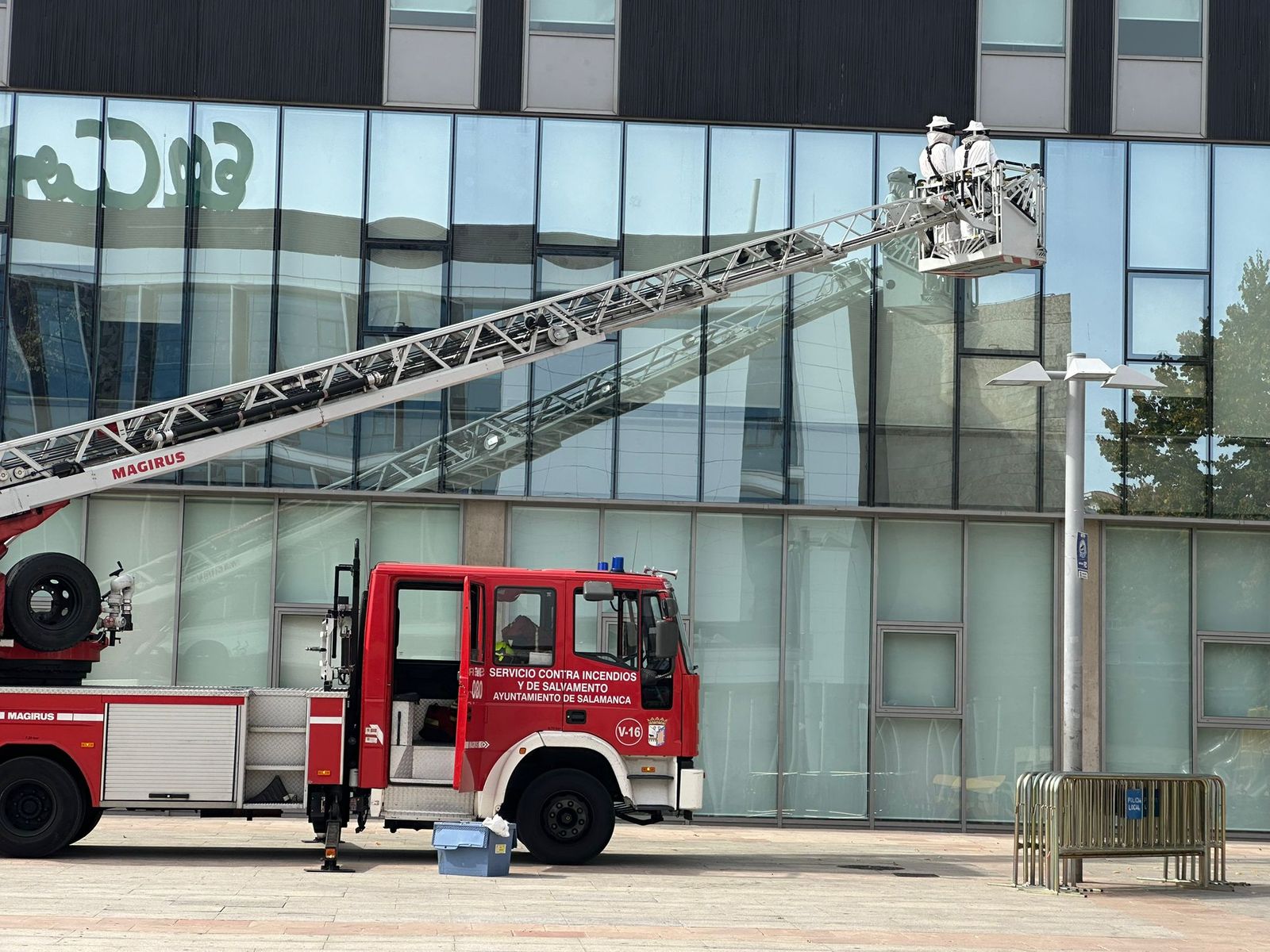 Los Bomberos de Salamanca retiran un avispero en la plaza de la Concordia