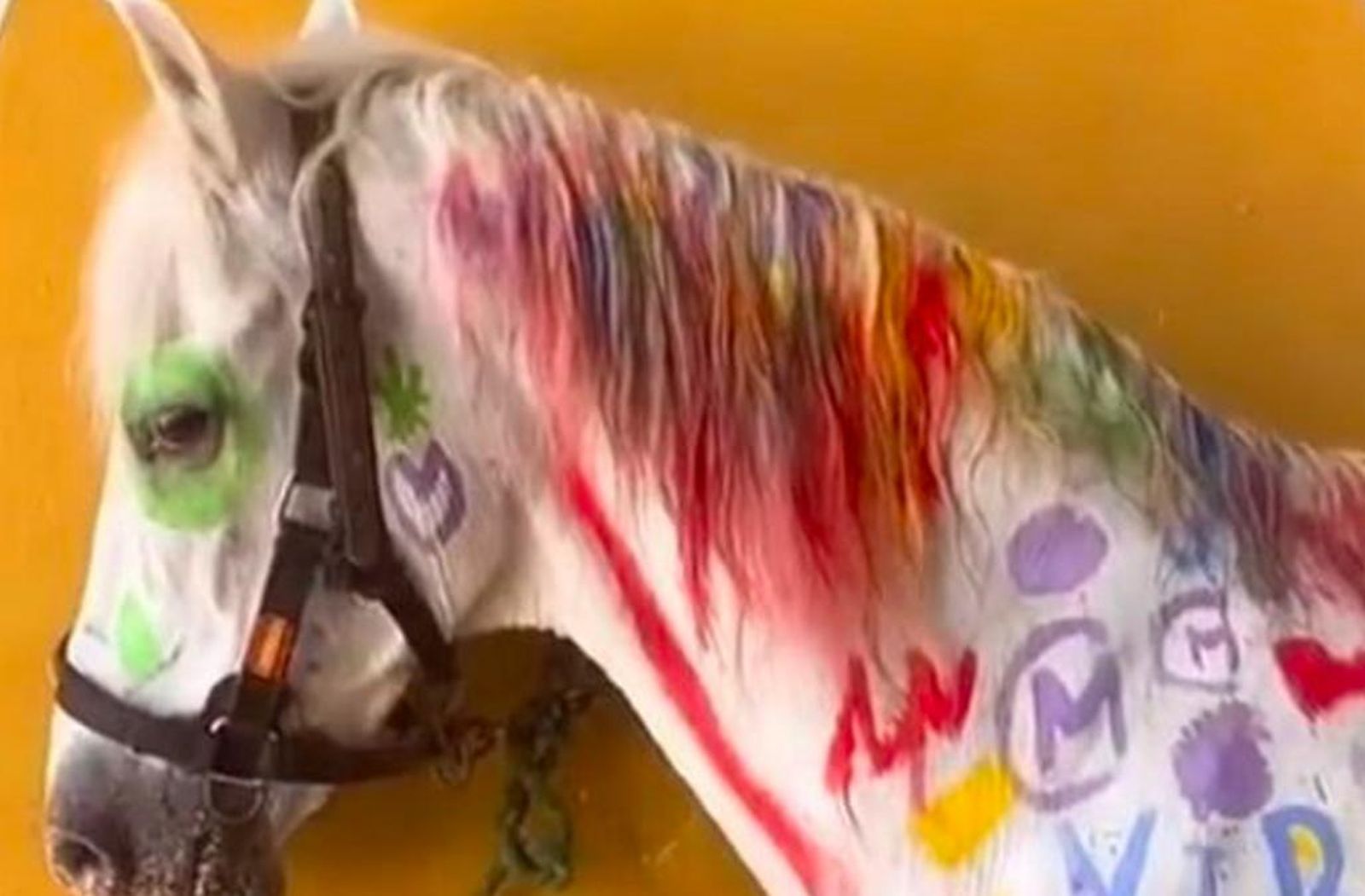 Caballo pintado | Fotografía Diario de Sevilla