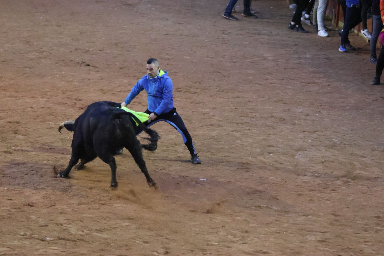 Capea y desencierro de domingo tarde en el Carnaval del Toro 2026