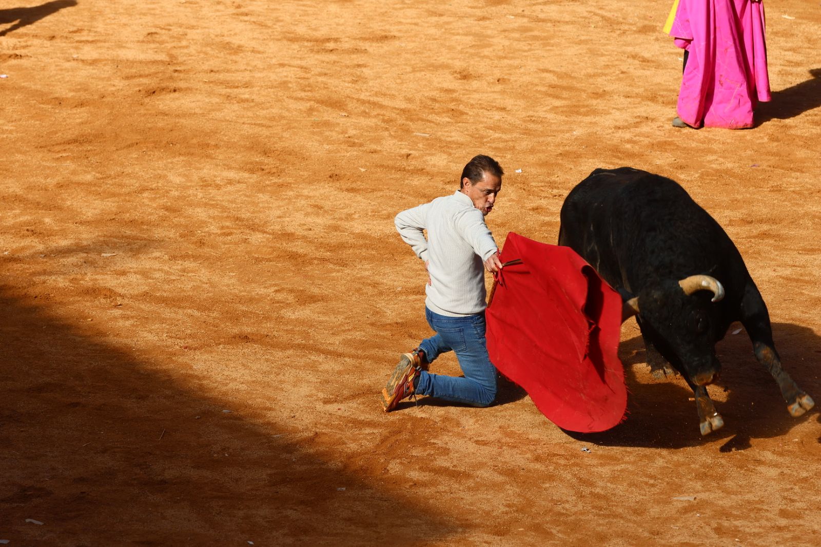 Capea de mañana en el martes del Carnaval del Toro de Ciudad Rodrigo