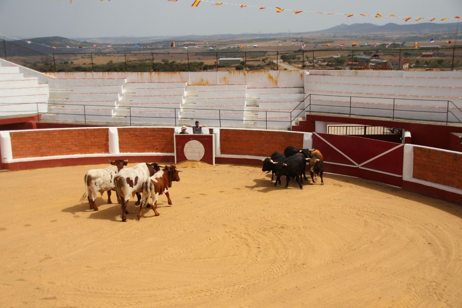 20230809113518-img-9544