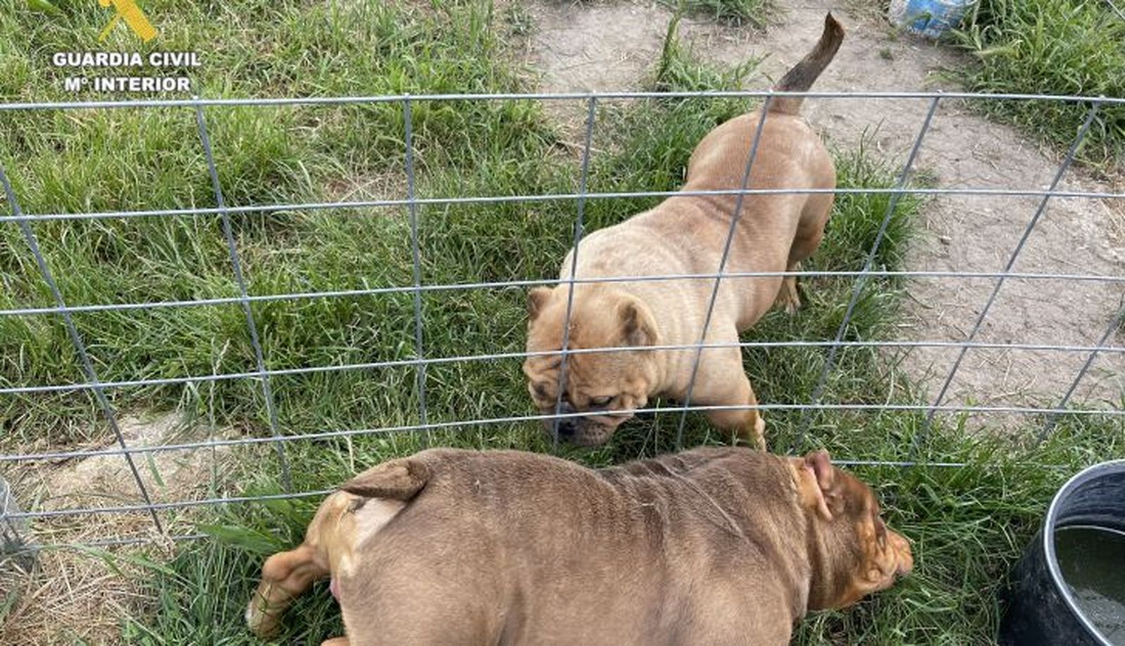 07 03 2025 OP AUSIS 3