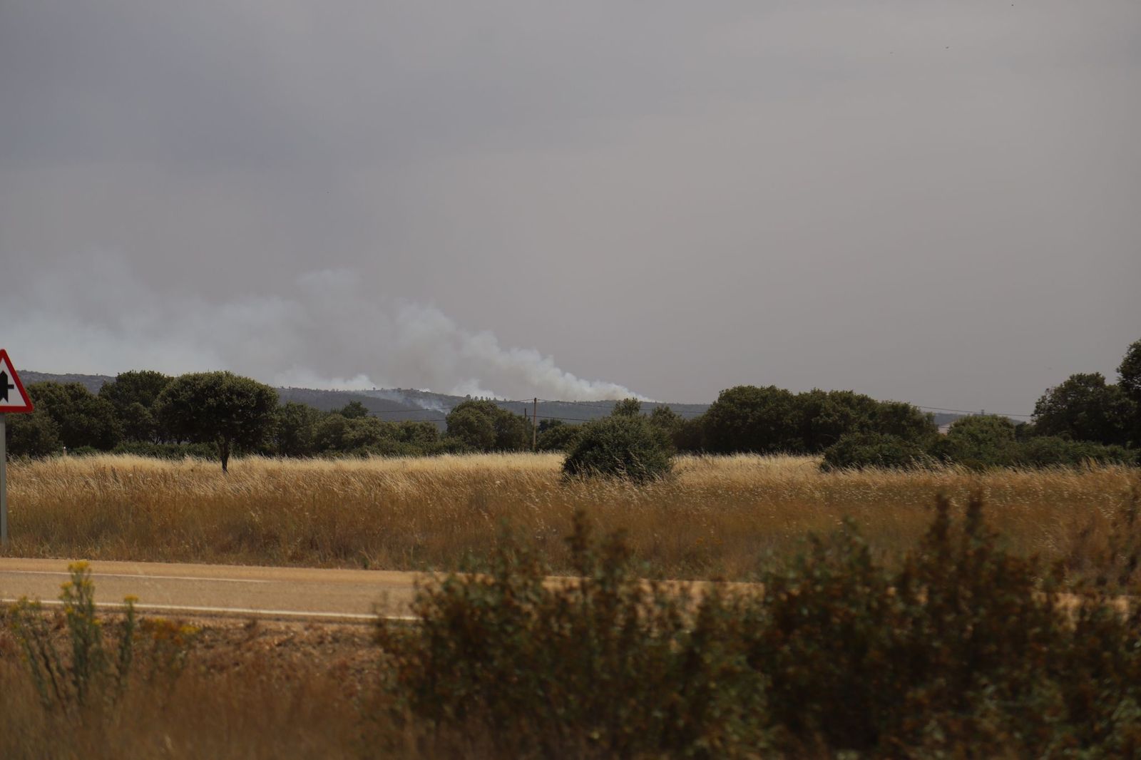 puesto-de-mando-contra-el-incendio-en-la-sierra-de-la-culebra-foto-maria-lorenzo-8