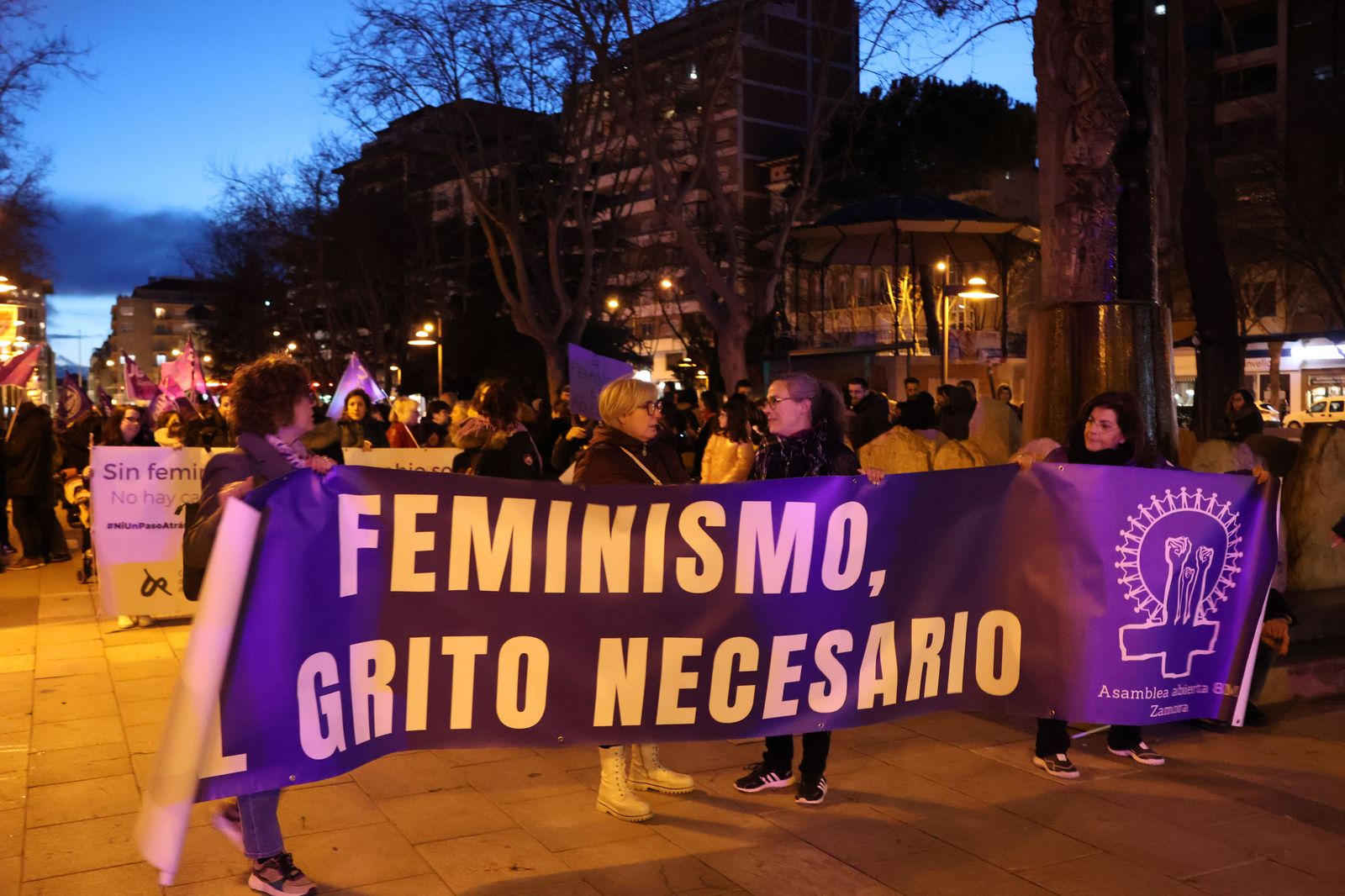 marcha-del-8m-en-zamora-16