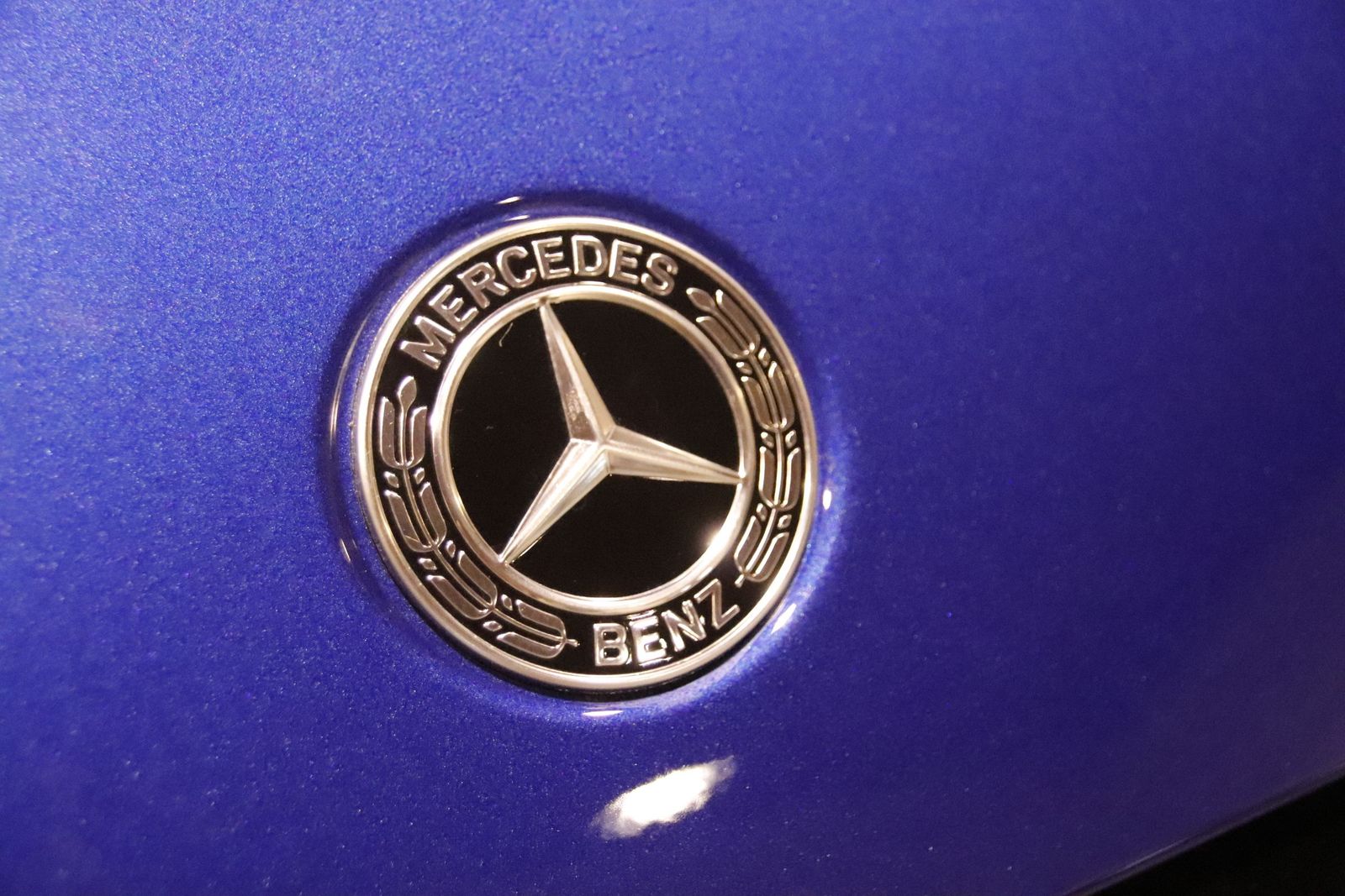 20220616205209-mg-4710