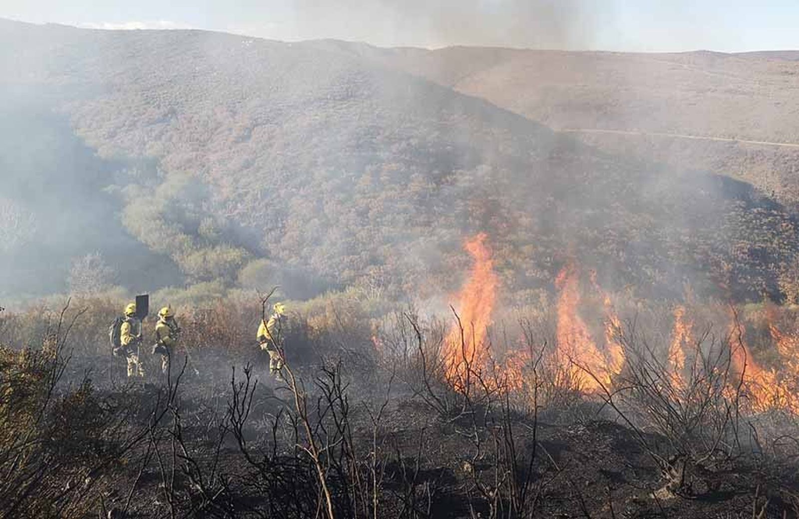 Medios aéreos y terrestres en un incendio forestal. Archivo Medios aéreos y terrestres en un incendio forestal. Archivo