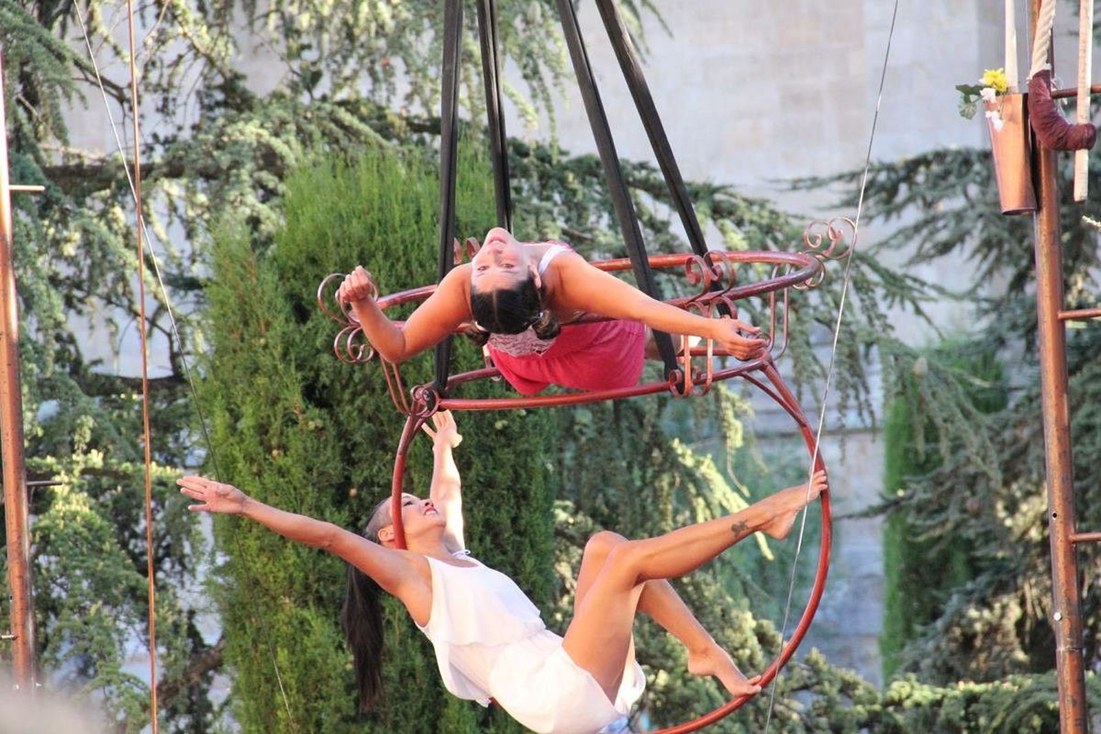 Para la asociación animalista Libera! los circos con animales “no es arte,  es maltrato puro y duro”, image size:1600x1067