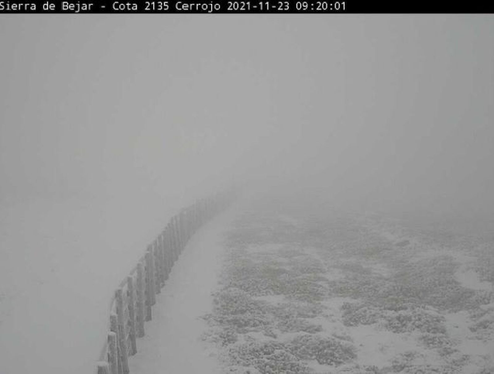 Bejar ha amanecido nevado 