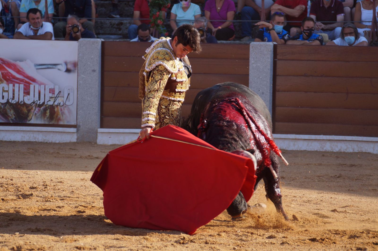 toros-en-guijuelo-15-de-agosto-34