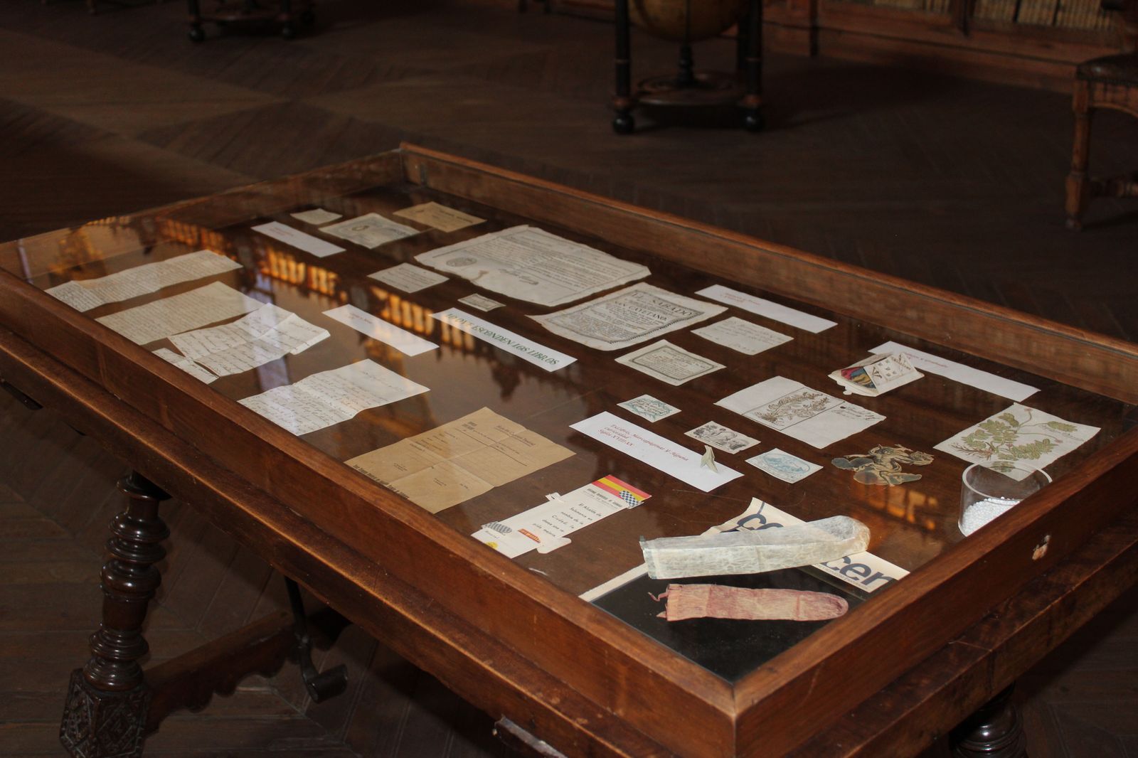 biblioteca-usal-serendipias-libros-historicos-directora-de-la-biblioteca-de-la-usal-libros-2