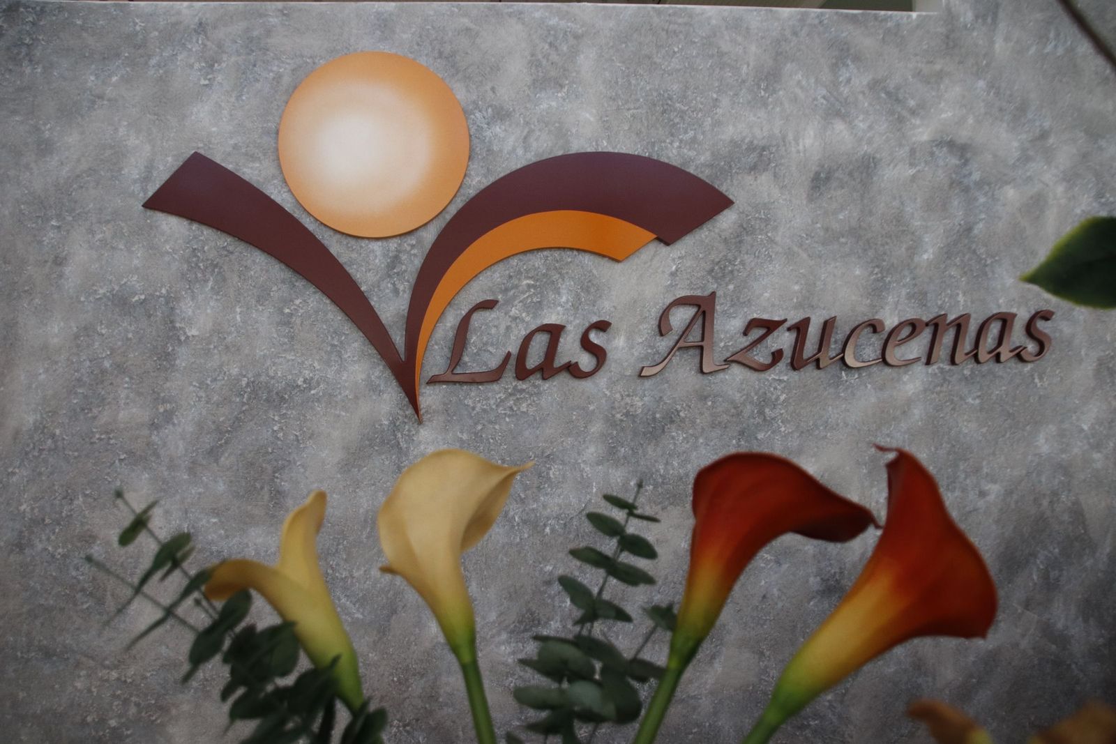 20230215105923-mg-6327