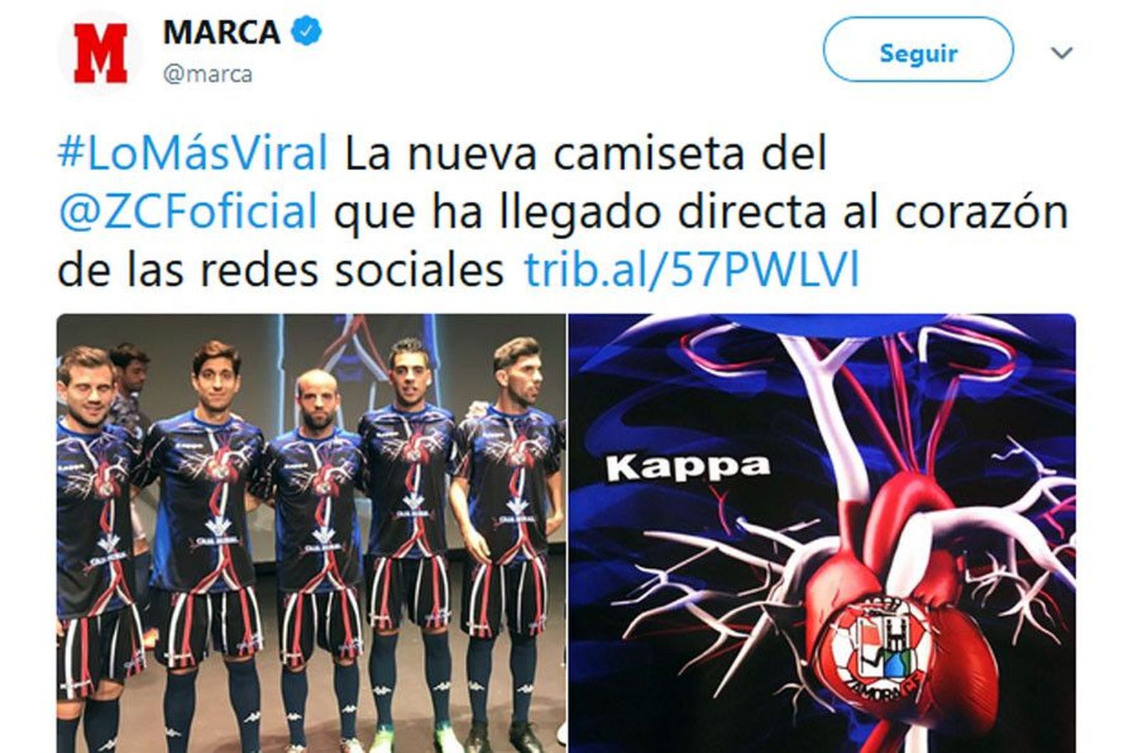 Viral zamora marca