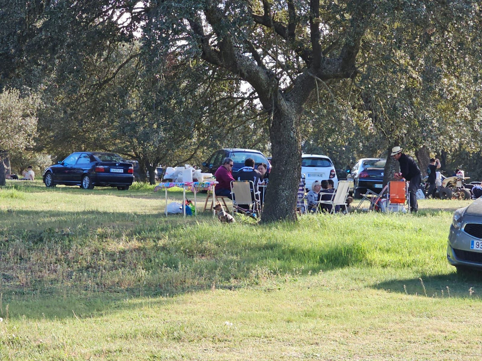 whatsapp-image-2023-04-17-at-19-27-41-1