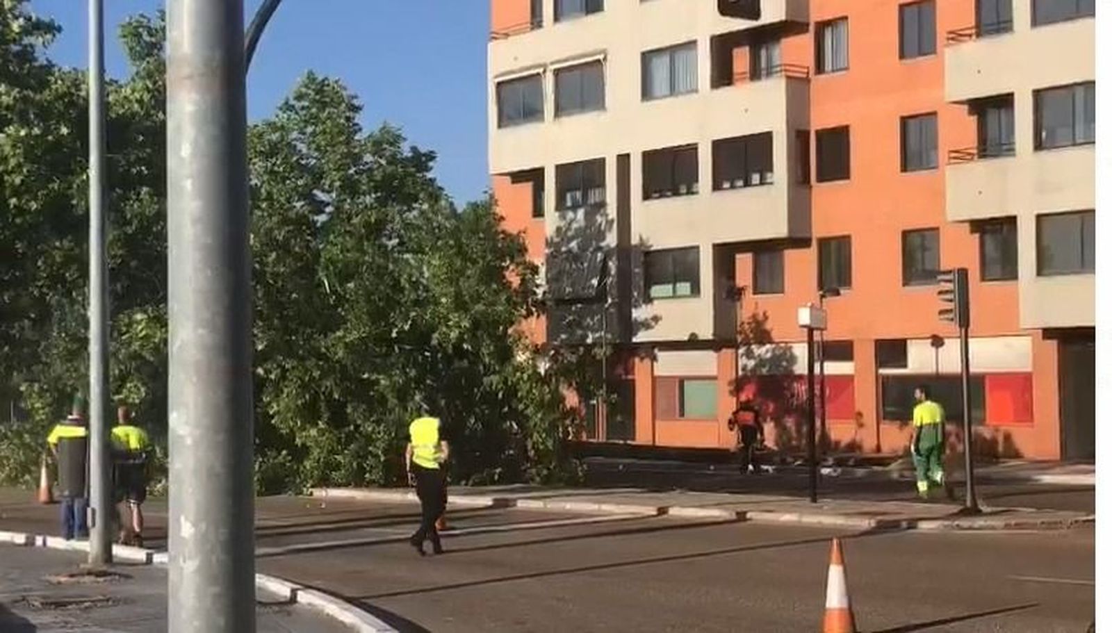 Un instante del vídeo