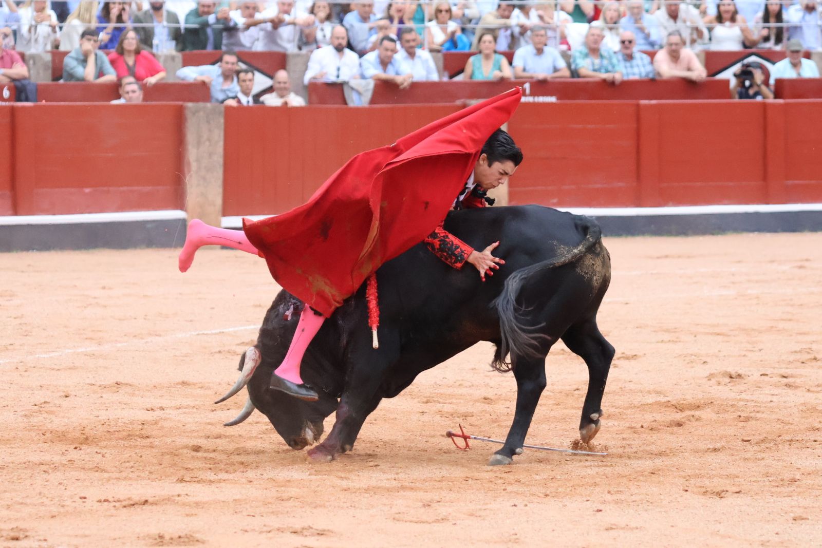 Ismael Martín, Marco Pérez y el aclamado regreso de Morante de la Puebla: su paso por La Glorieta en imágenes