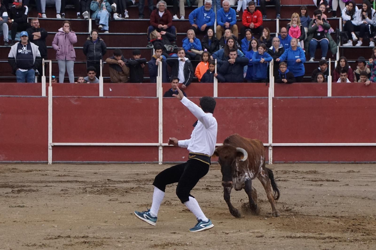 whatsapp-image-2023-05-22-at-20-19-04