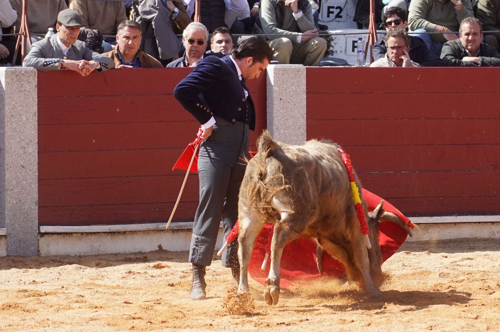 Festival taurino solidario por la esclerosis múltiple en Guijuelo