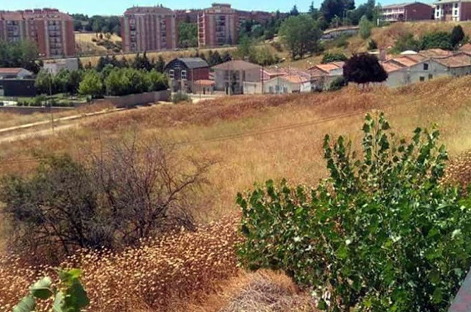 Alviar zamora barrio