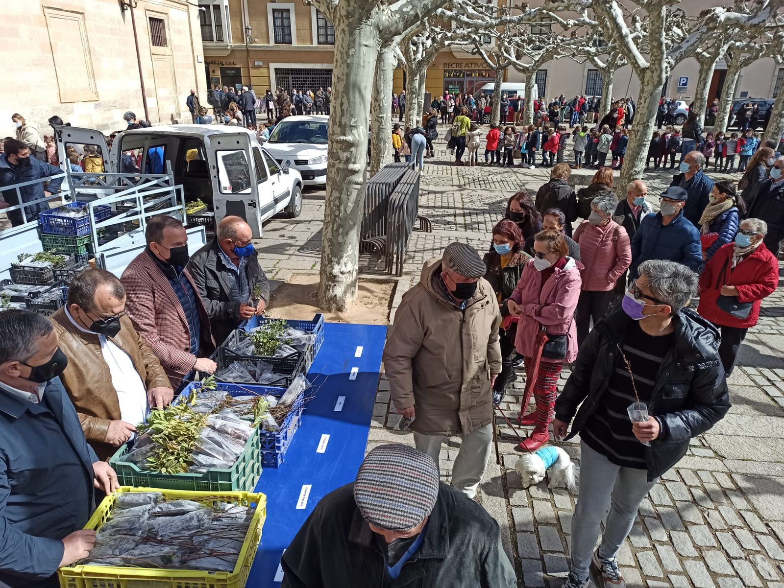 Reparto de plantas en la Diputación