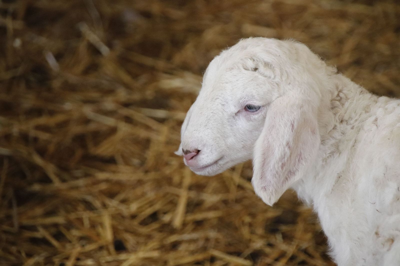 20220520102539-mg-8460