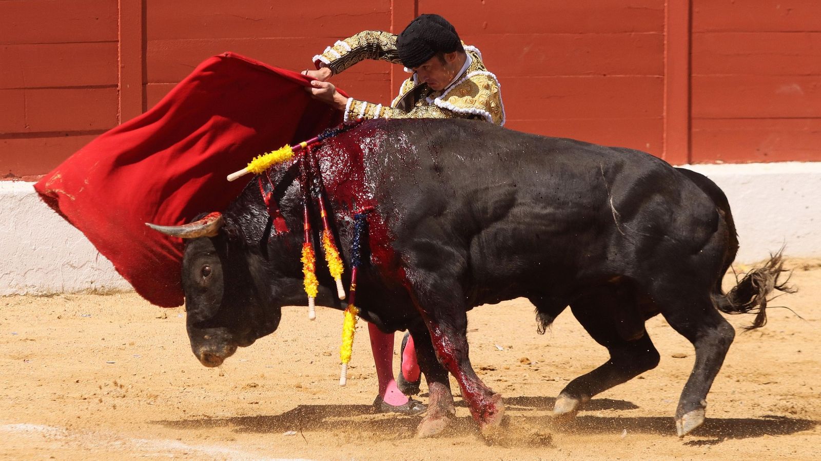 Damián Castaño durante su encerrona en San Agustín de Guadalix con Dolores Aguirre