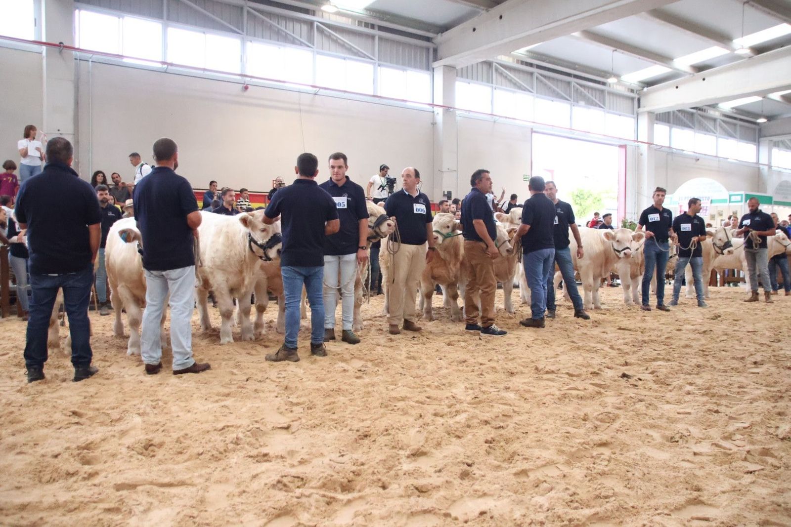 20230902101654-img-6943