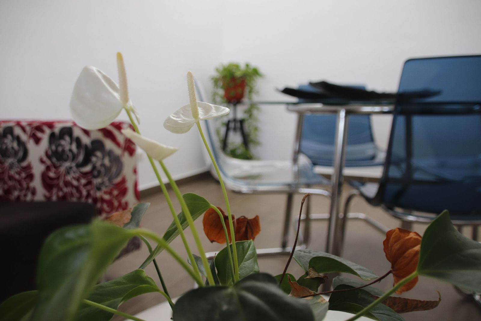 20230215102834-mg-6234