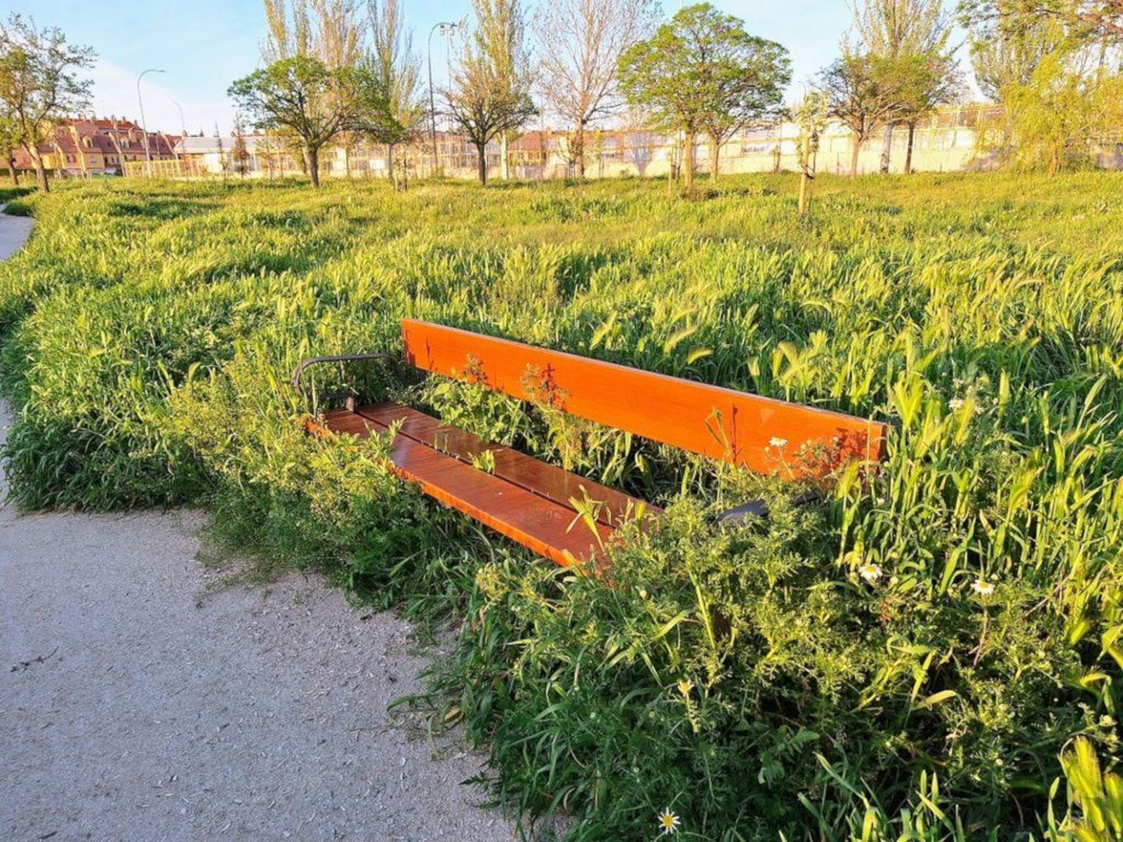 Banco en las inmediaciones del campo de fútbol del Zurguén. Foto: Ciudadanos por la Defensa del Patrimonio en Salamanca.