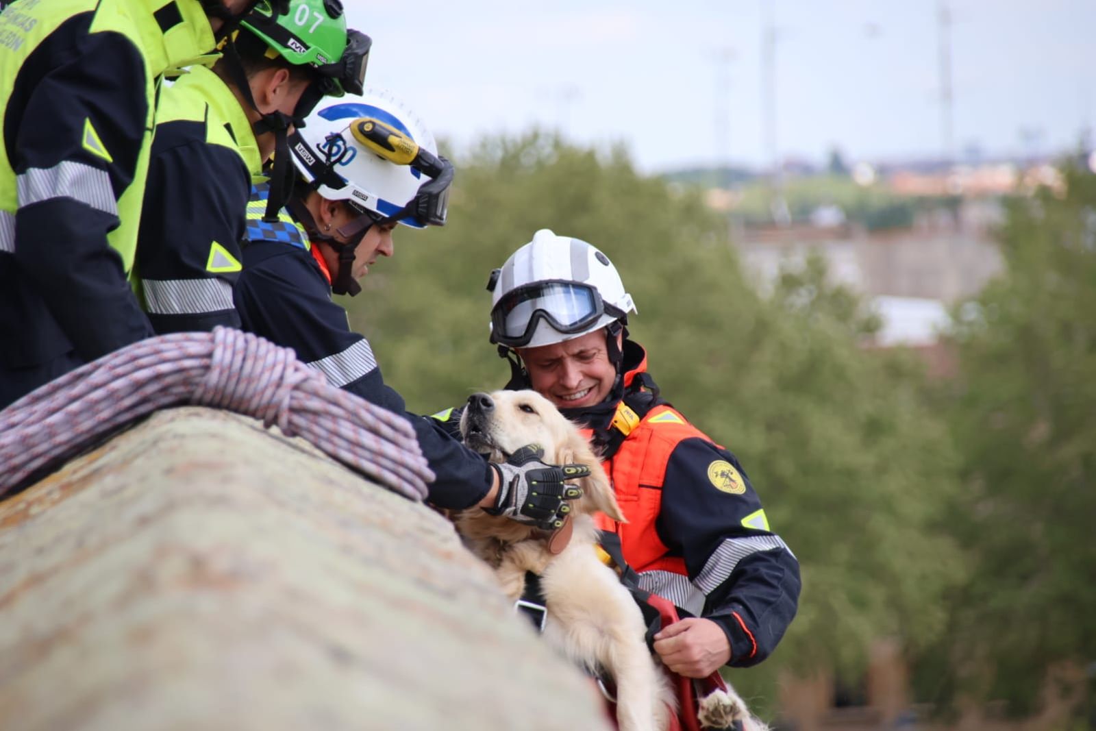 los-bomberos-rescatan-a-un-perro-en-el-jardin-botanico-de-salamanca-fotos-andrea-m-14