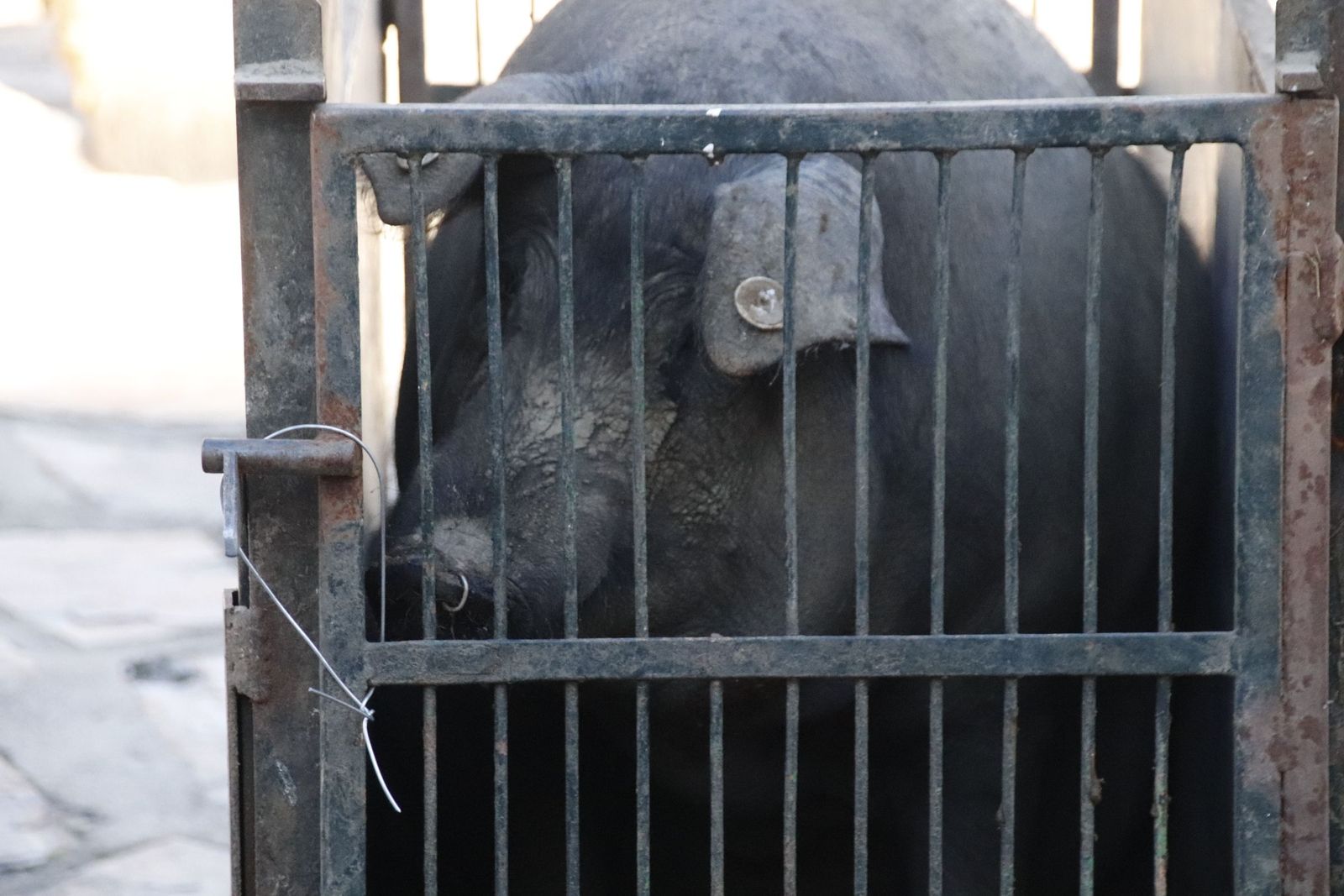 20230204120941-mg-4683