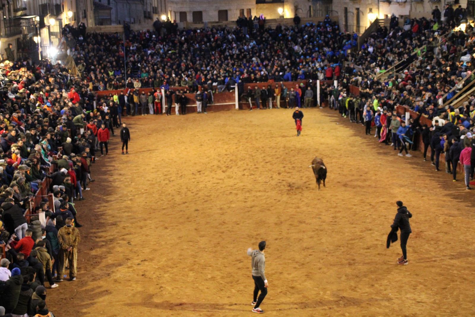 whatsapp-image-2025-03-02-at-19-32-44-3