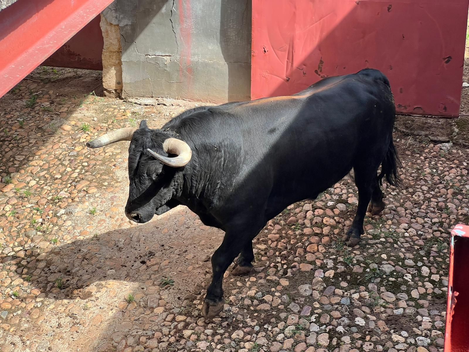 whatsapp-image-2023-09-17-at-12-58-05