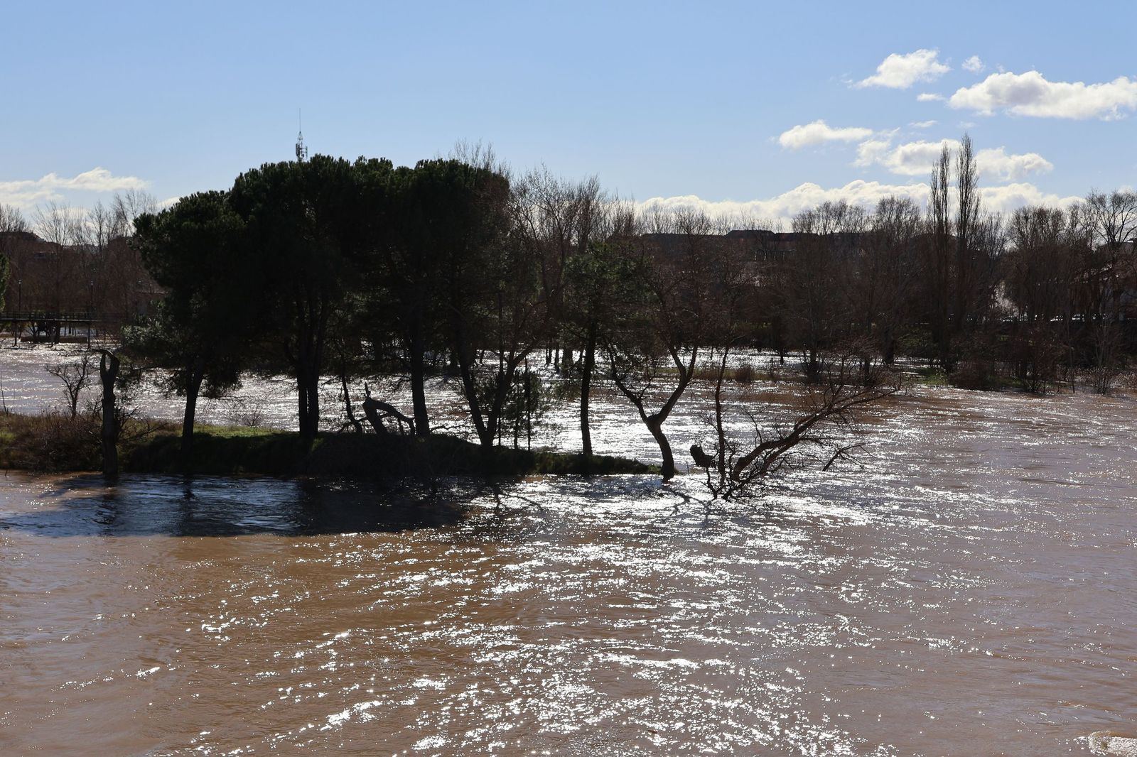 GALERÍA | El Duero muestra su fuerza con una importante crecida tras las lluvias