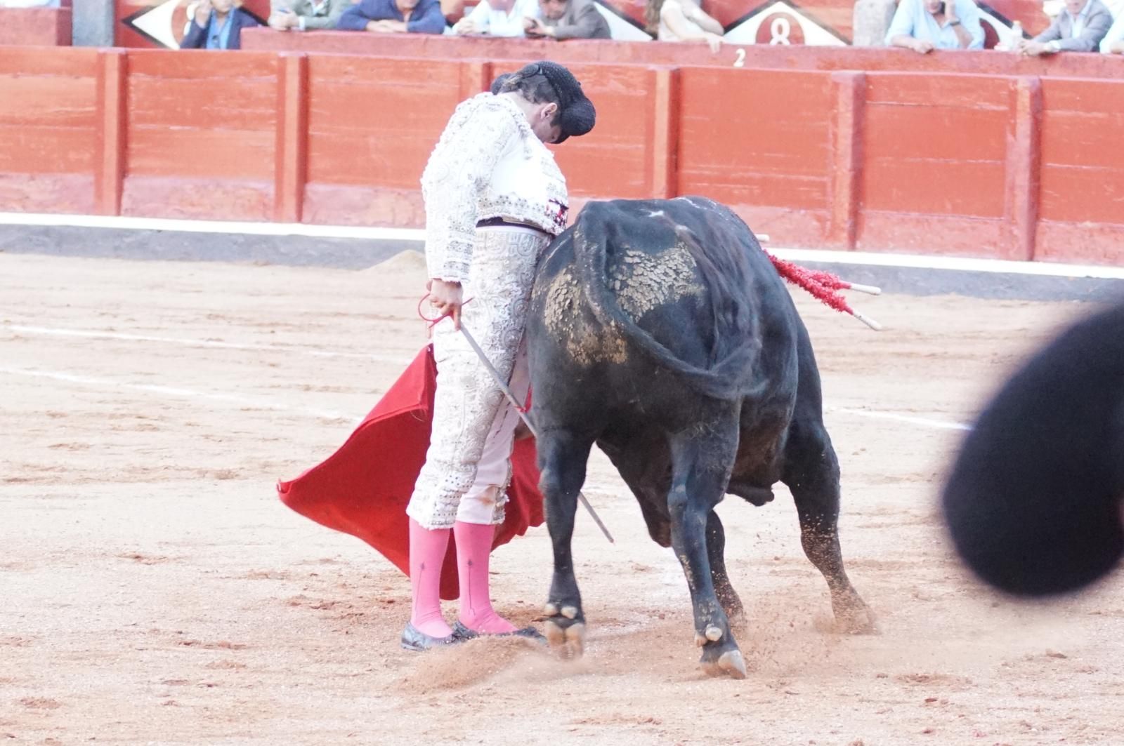 Presencia salmantina por partida doble en la primera corrida de la feria: Damián Castaño e Ismael Martín junto al mexicano Diego San Román