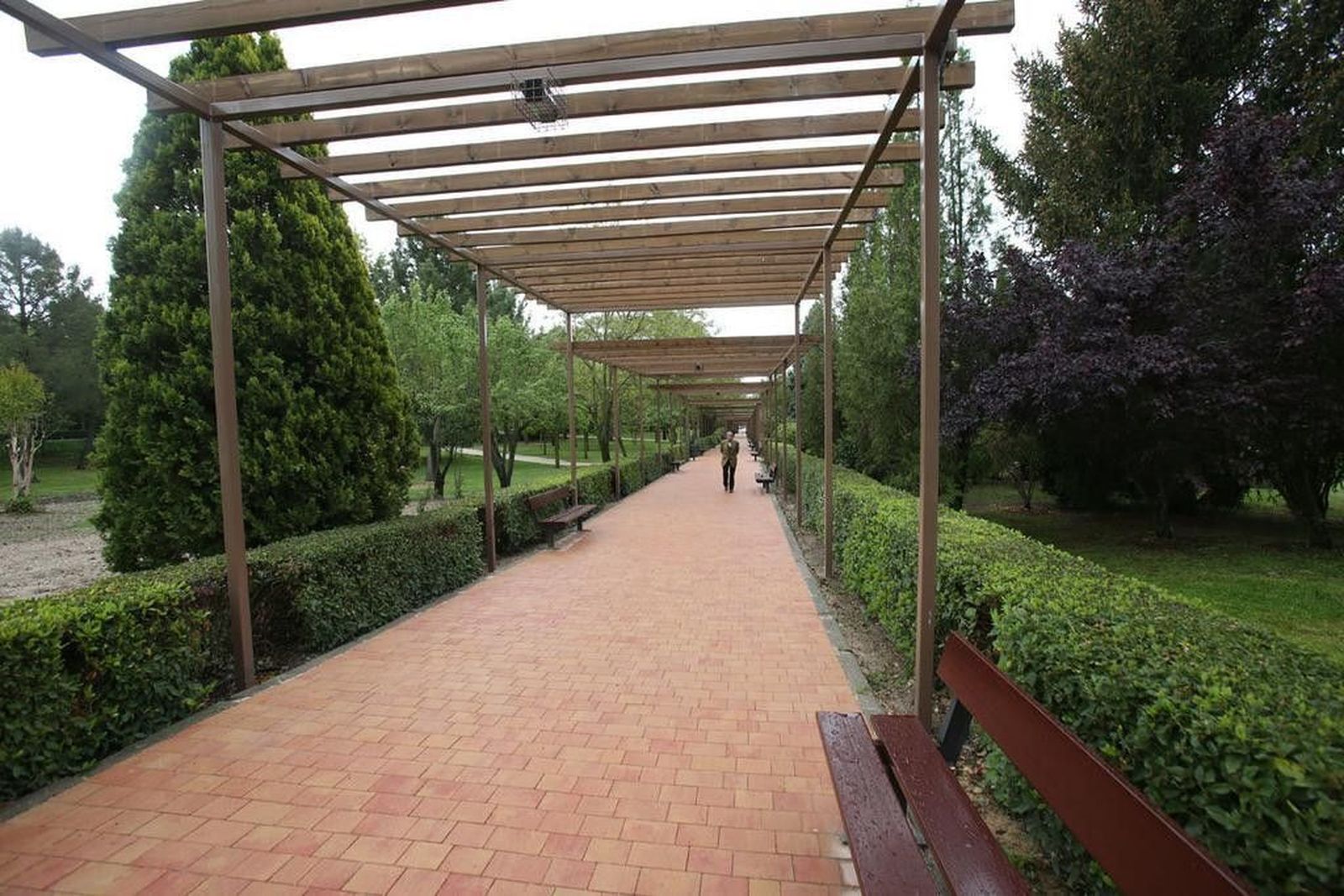 El parque de los Jesuitas acogerá la biblioteca al aire libre en agosto