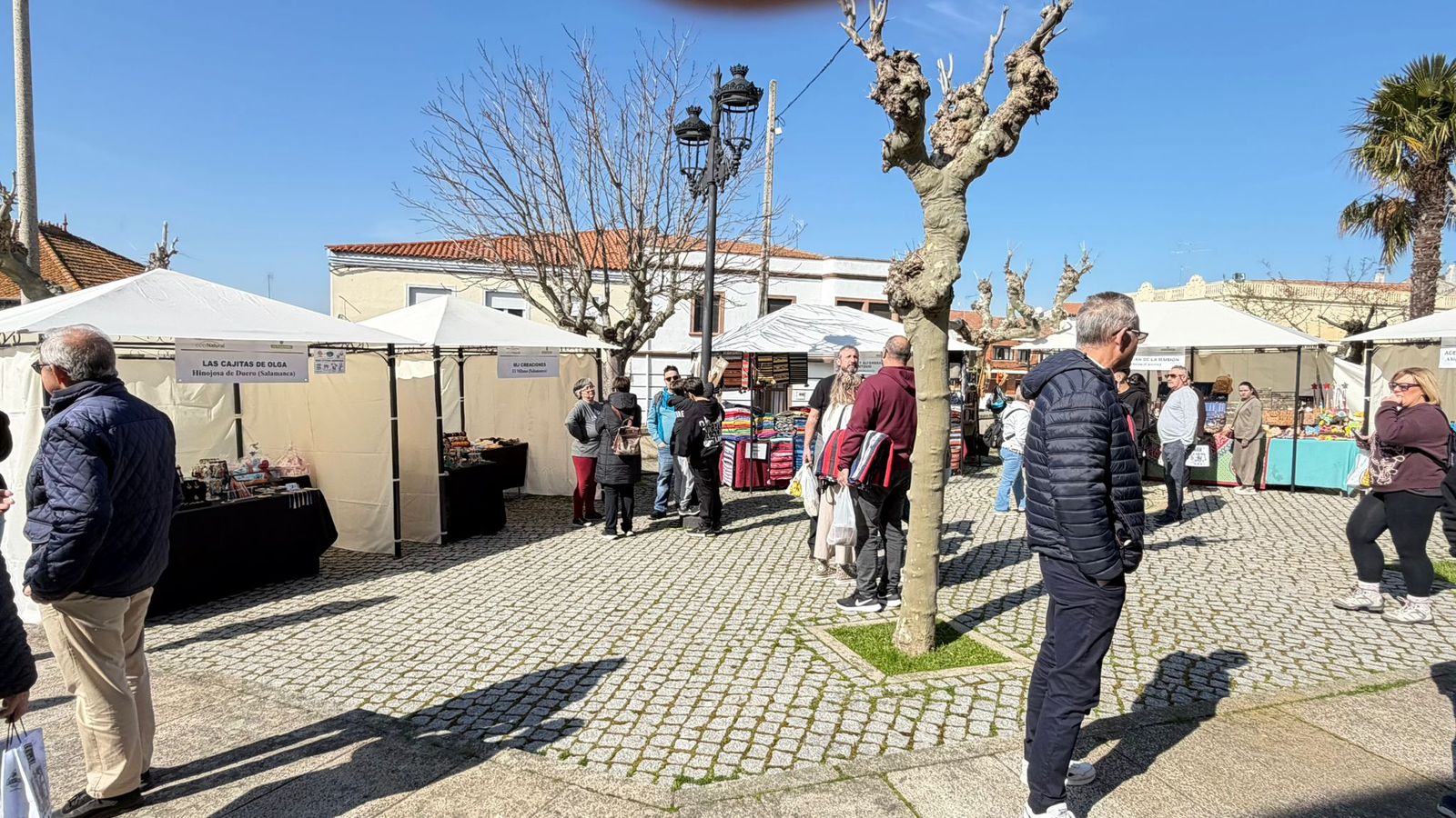 Día del Almendro en La fregeneda