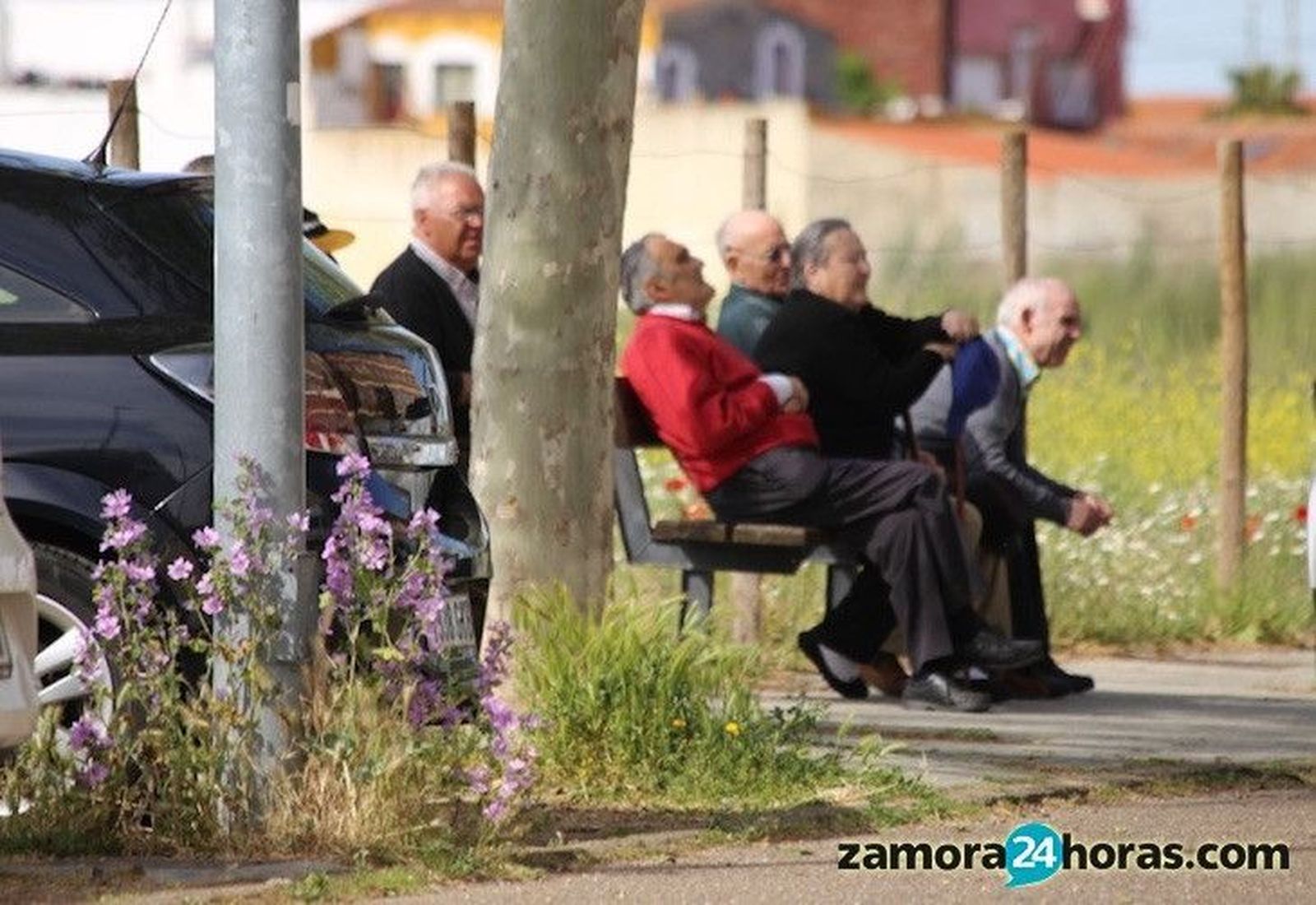 La nómina media de los pensionistas zamoranos, la más baja de la comunidad