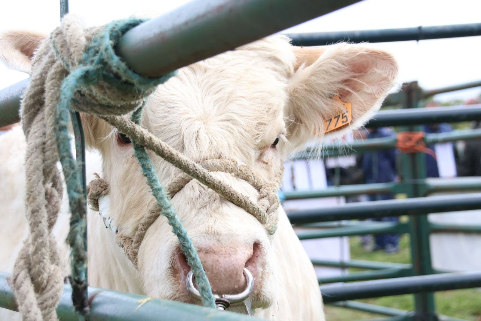 20240501104747-img-2984