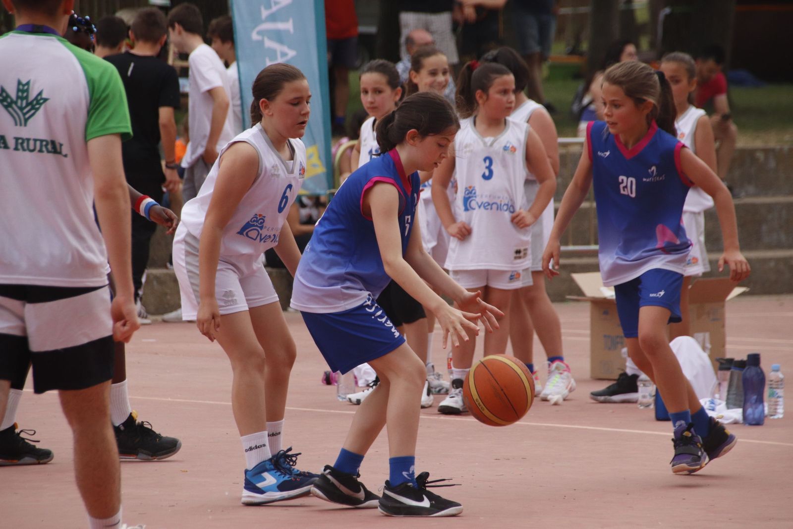 Día del Minibasket