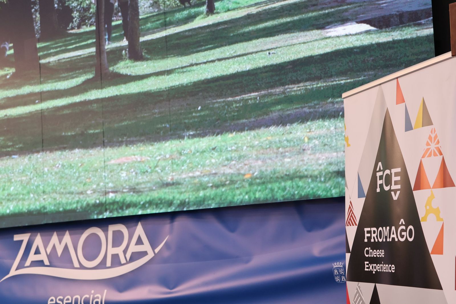 Zamora se presenta en Intur 2025 (6).JPG